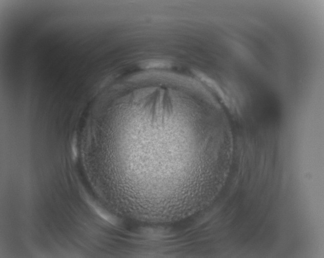 X0000083030069200702091354