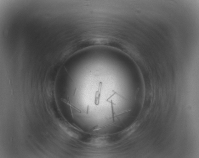 X0000083030078200702091354