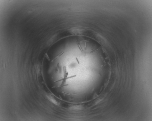 X0000083030081200702091354