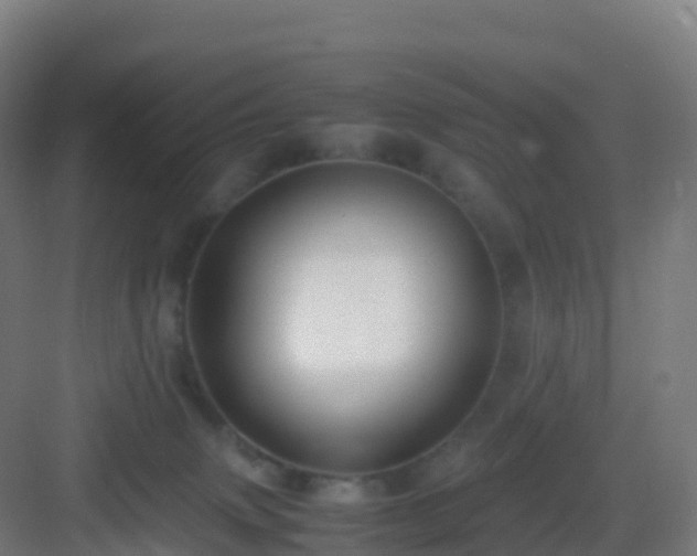 X0000083030083200702091354