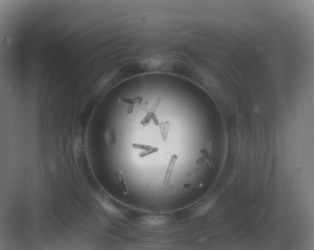X0000083030085200702091354