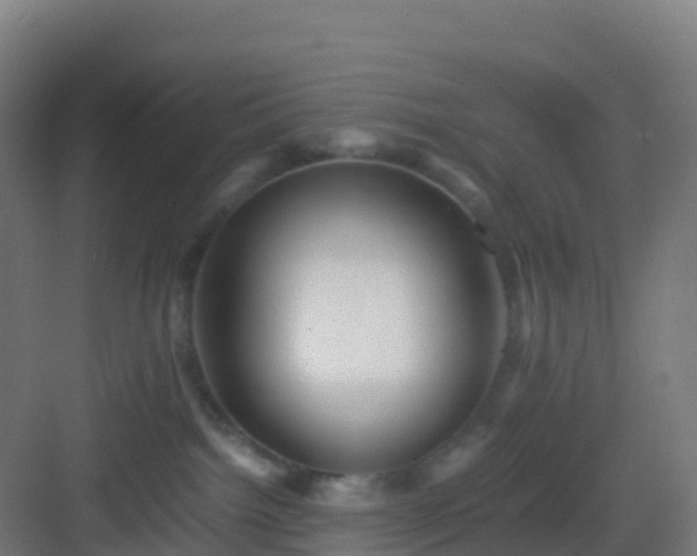 X0000083030092200702091354
