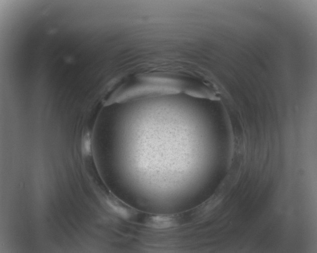 X0000083030095200702091354