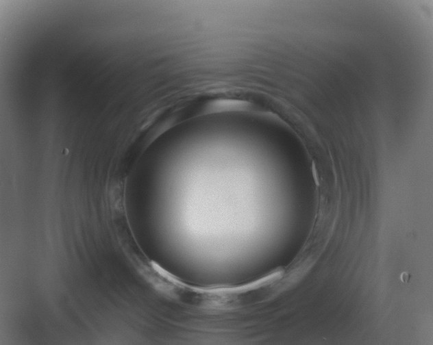 X0000083030096200702091354