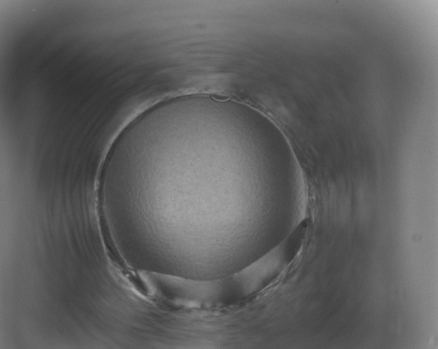 X0000083030100200702091353