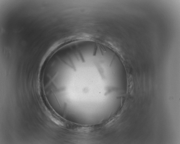 X0000083030102200702091353