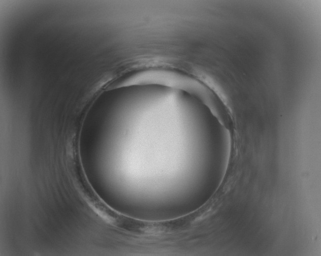 X0000083030105200702091353