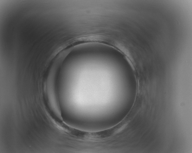 X0000083030109200702091353