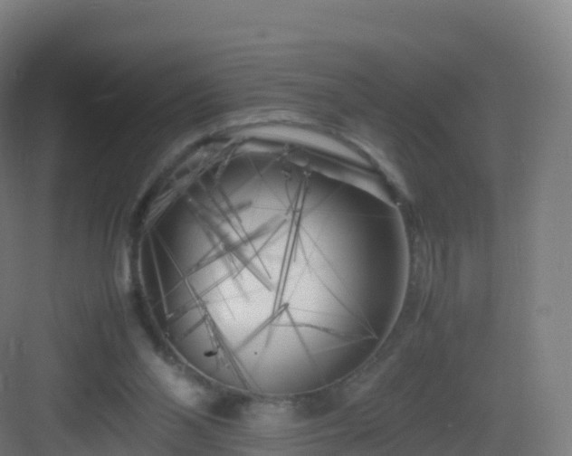 X0000083030110200702091353