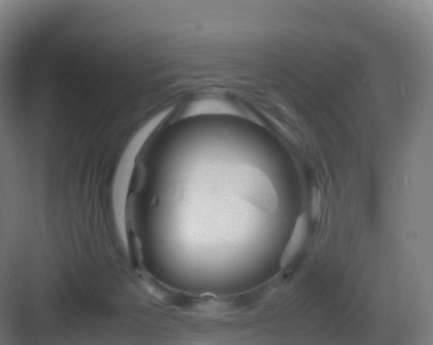 X0000083030125200702091353