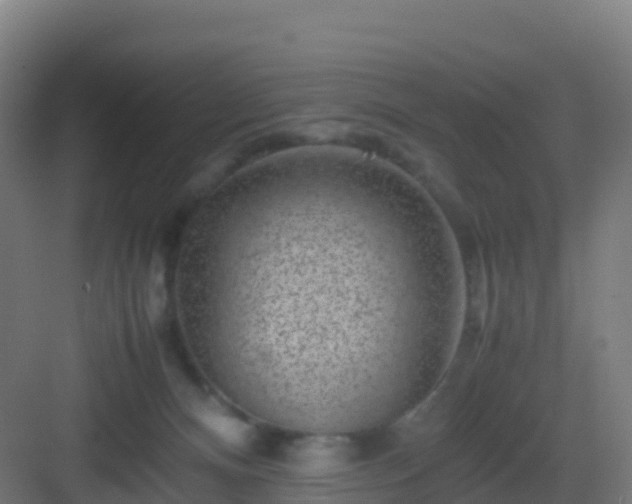 X0000083030128200702091353