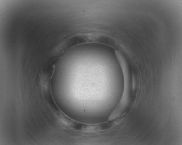 X0000083030129200702091353