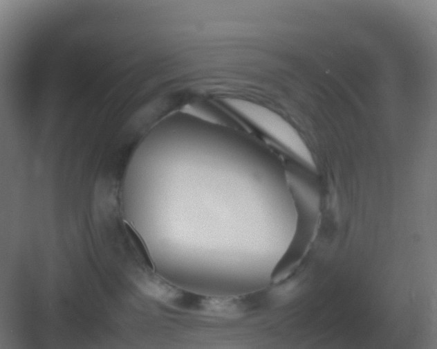 X0000083030141200702091352
