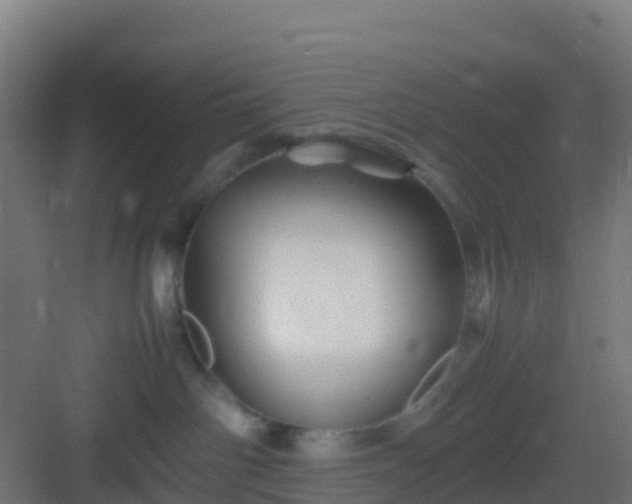 X0000083030142200702091352
