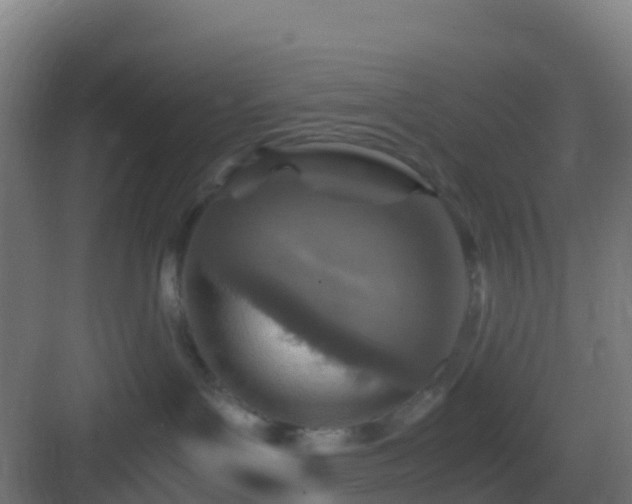 X0000083030143200702091352