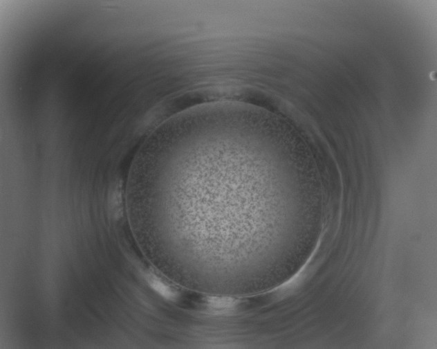 X0000083030144200702091352