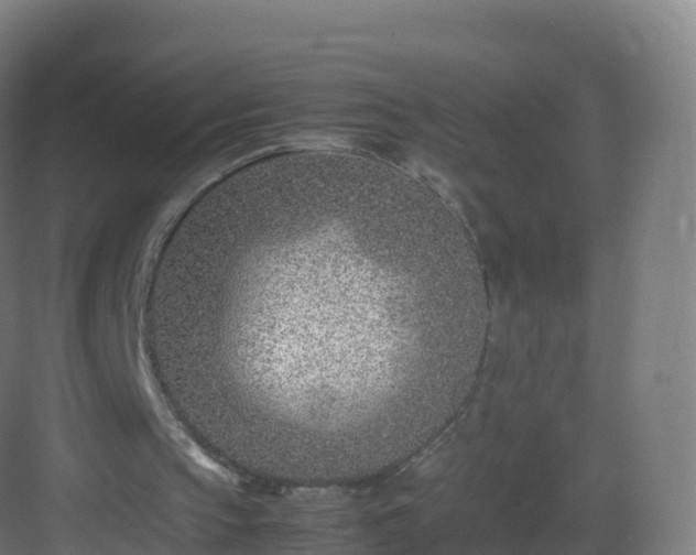 X0000083030145200702091352