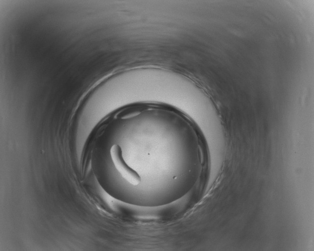 X0000083030146200702091352