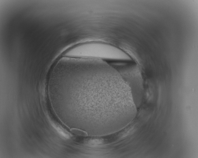 X0000083030156200702091352