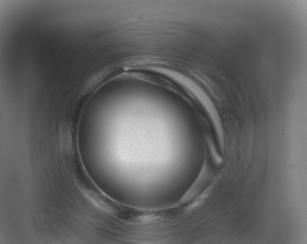 X0000083030158200702091352