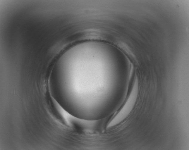 X0000083030160200702091352