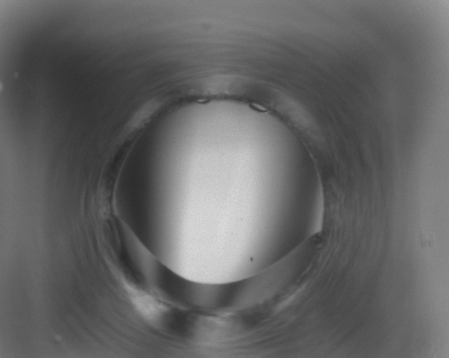 X0000083030164200702091352