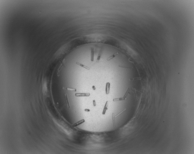 X0000083030166200702091352