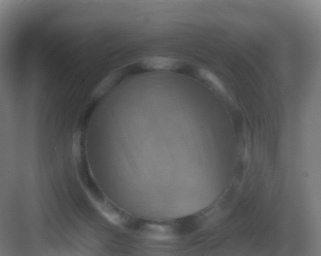 X0000083030167200702091352
