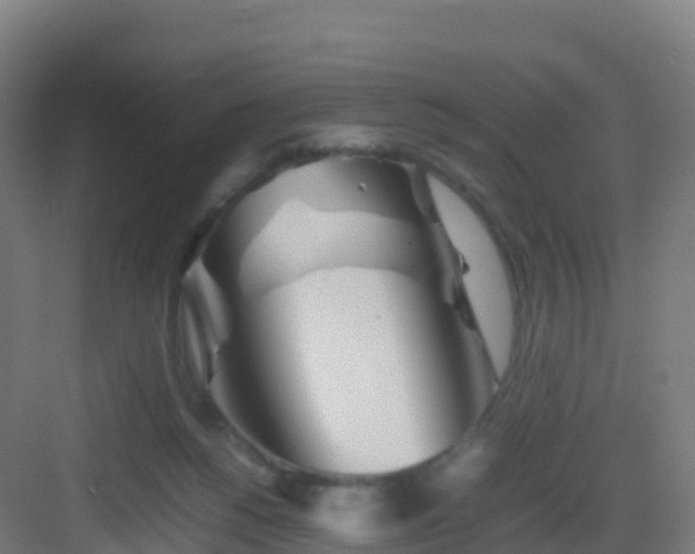 X0000083030168200702091352