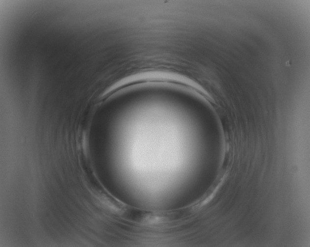 X0000083030174200702091352