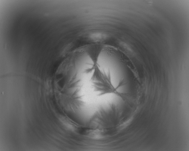 X0000083030182200702091352