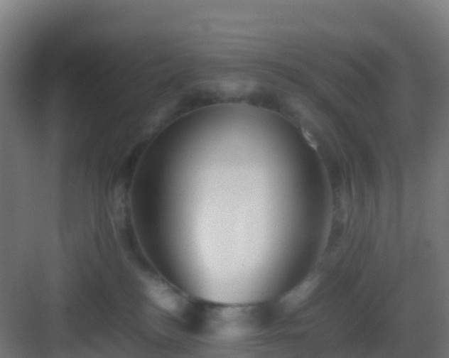 X0000083030184200702091352