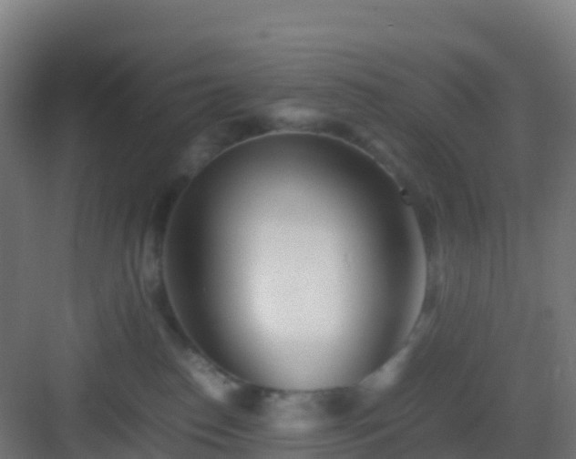 X0000083030186200702091352