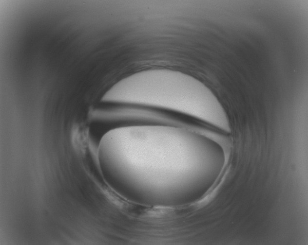 X0000083030190200702091352