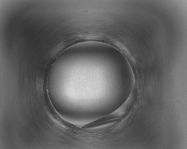 X0000083030201200702091351