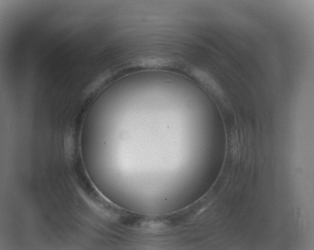 X0000083030208200702091351