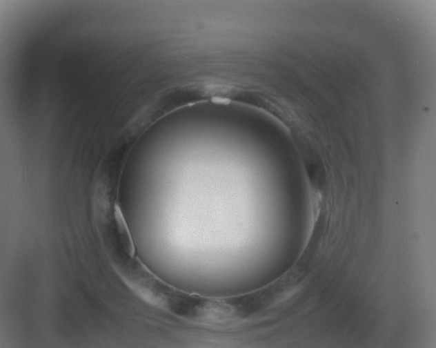 X0000083030215200702091351