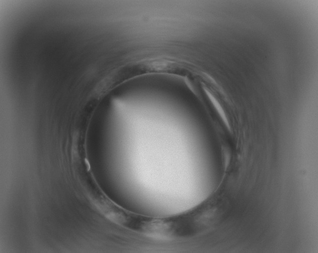 X0000083030217200702091351