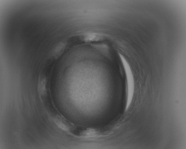 X0000083030219200702091351