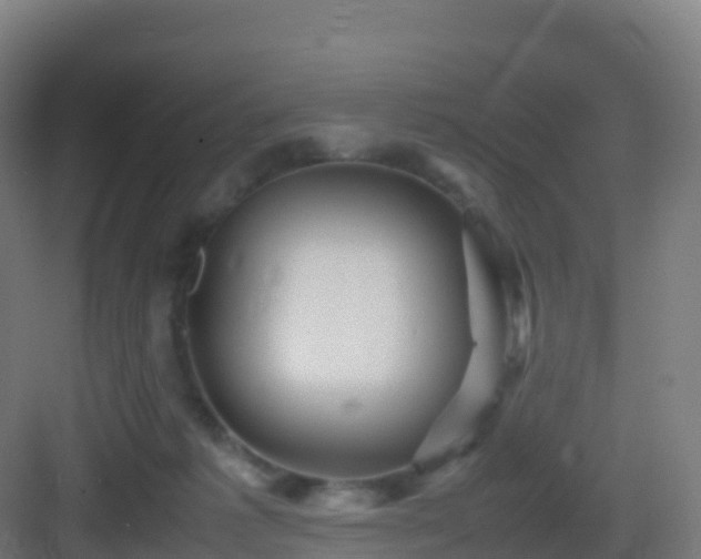 X0000083030221200702091351
