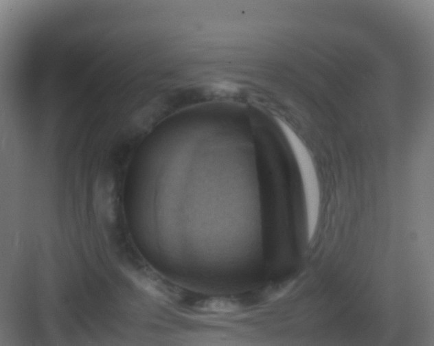 X0000083030223200702091351