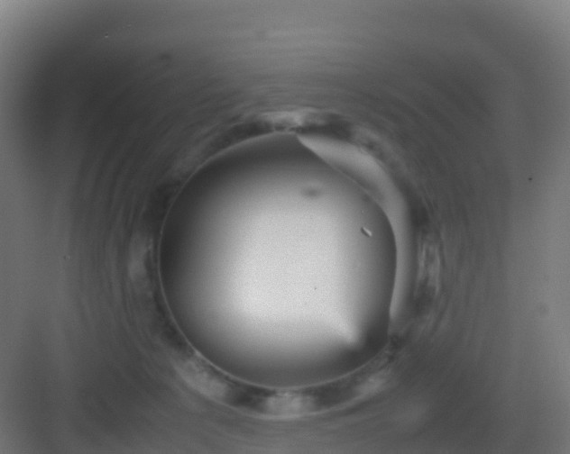 X0000083030225200702091351