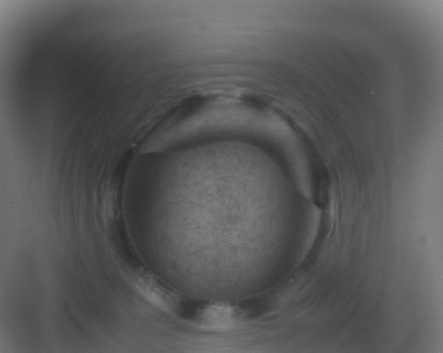 X0000083030227200702091351