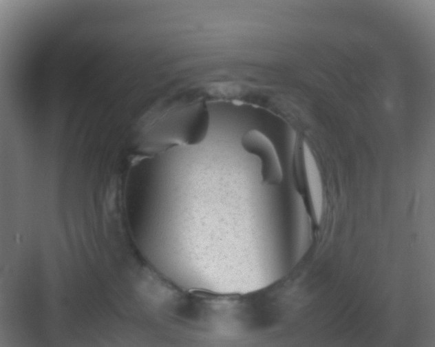 X0000083030233200702091351