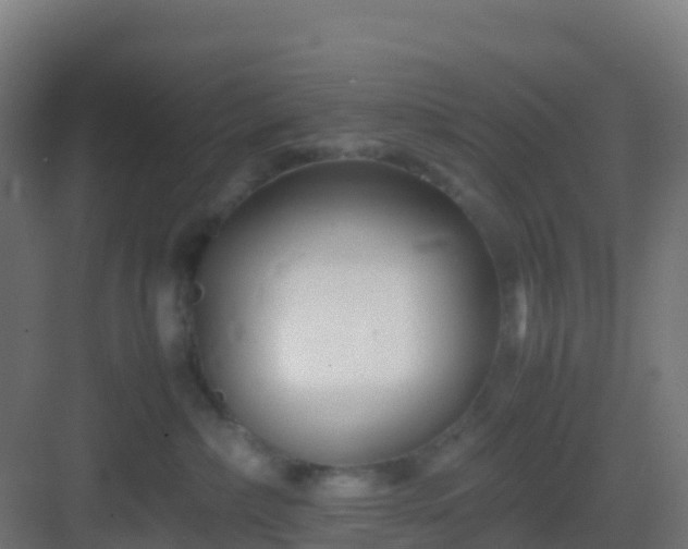 X0000083030236200702091351