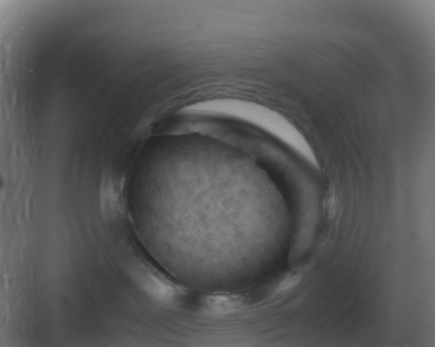 X0000083030239200702091351