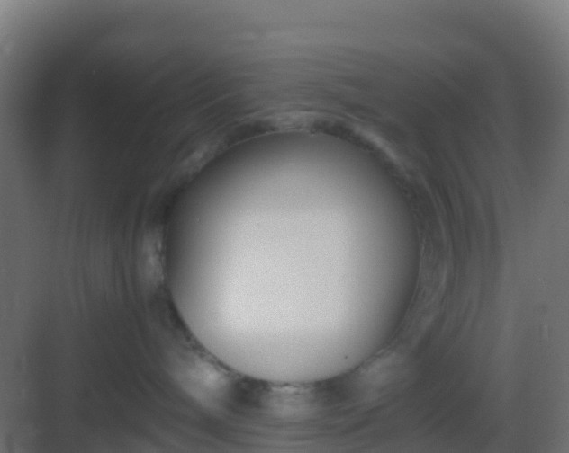 X0000083030240200702091351