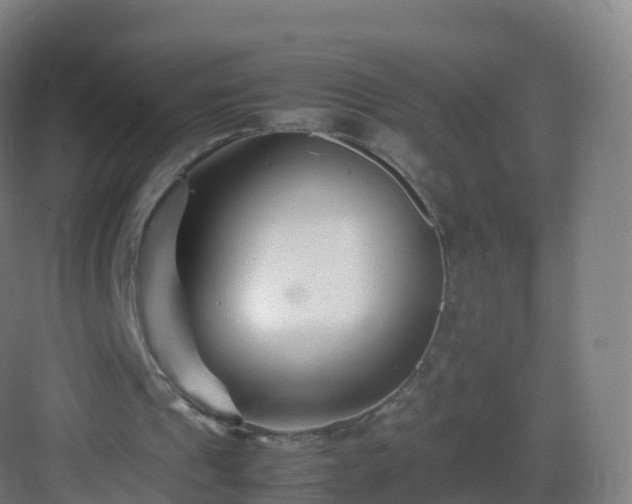 X0000083030241200702091350