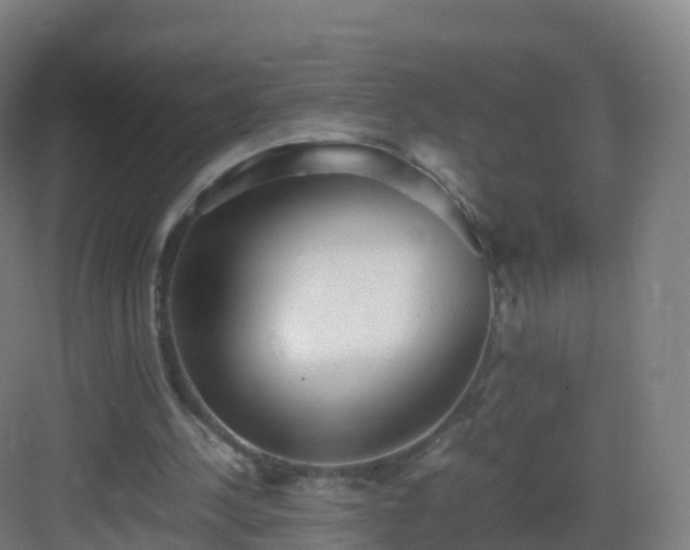 X0000083030244200702091350