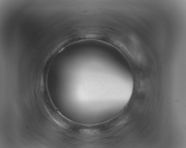 X0000083030251200702091350